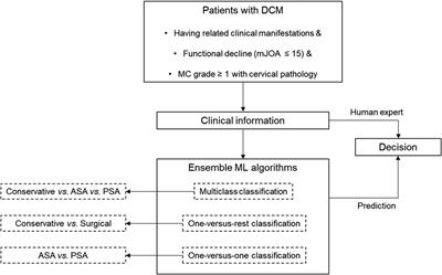 Classification of expert-level therapeutic decisions for degenerative cervical myelopathy using ensemble machine learning algorithms